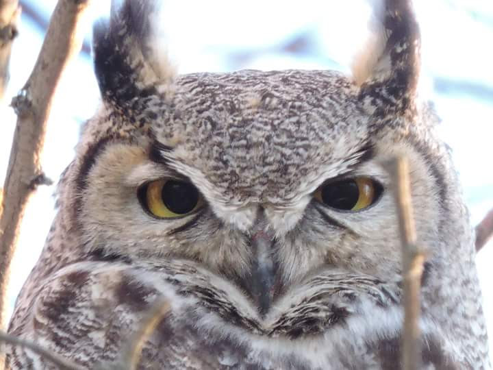 Instructional Design / Training Posts